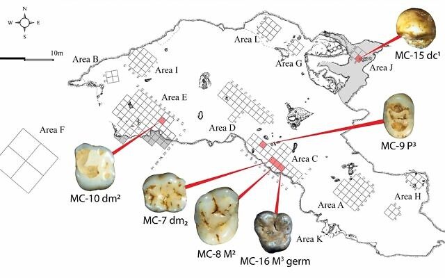 Harta cu amplasamentul fosilelor găsite în peşteră.
