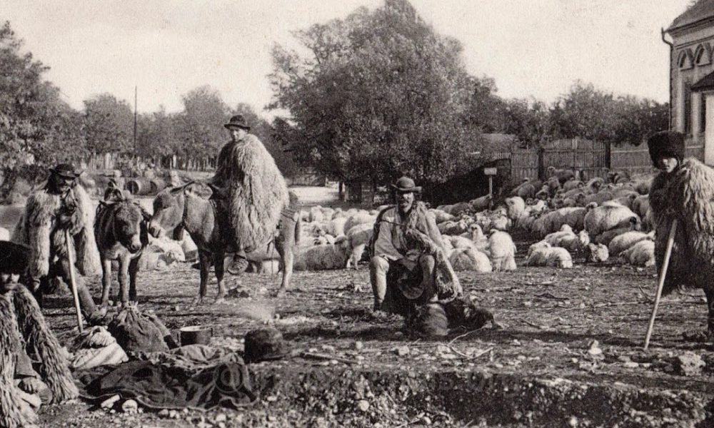 Legislația agrară și problema rurală (secolul XIX) - Evenimentul Istoric