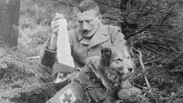 O fotografie alb-negru care arată un soldat scoțând bandaje din rucsacul purtat de un câine al Crucii Roșii Britanice