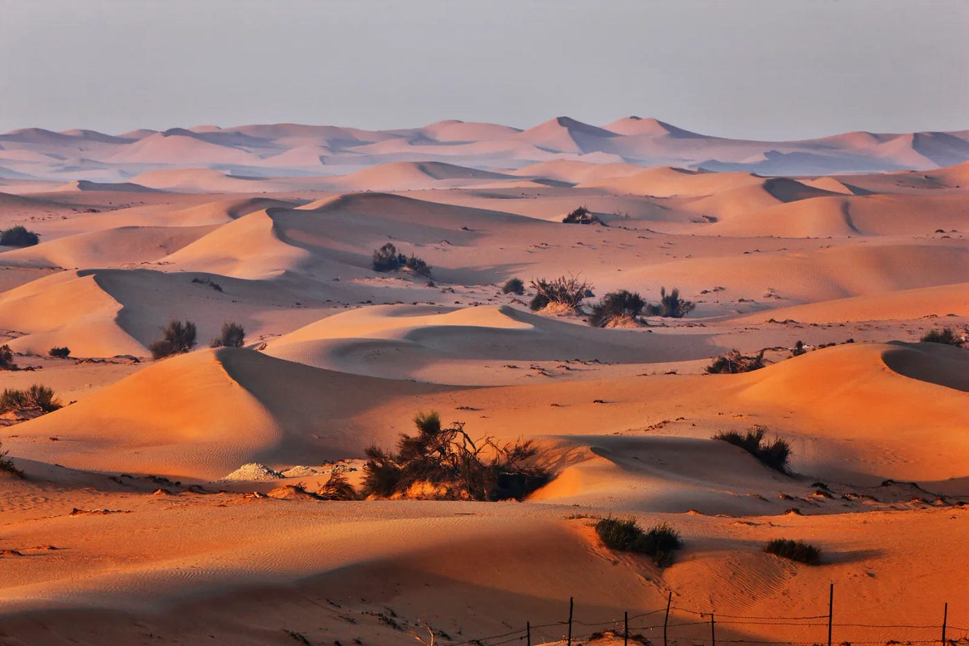 dune, Sahara